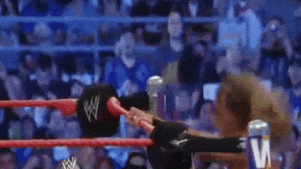 Shawn Michaels WrestleMania XXIV