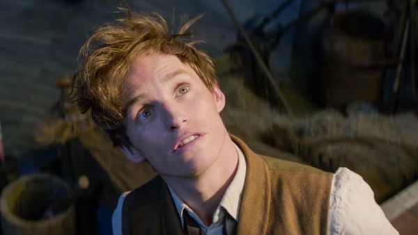 Newt Scamander Harry Potter