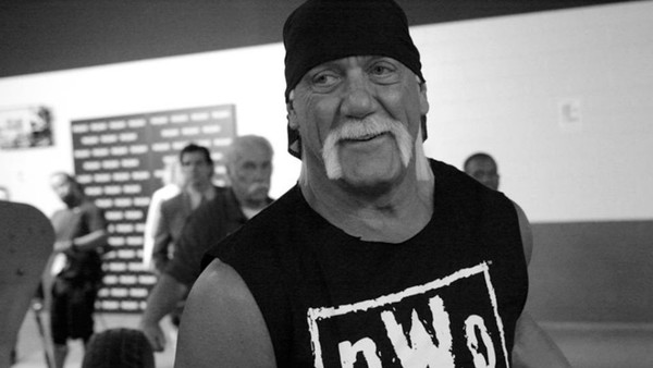 Hulk Hogan Wwe