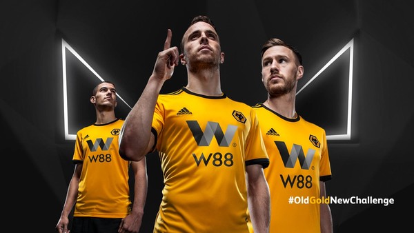 Wolves 2018-19
