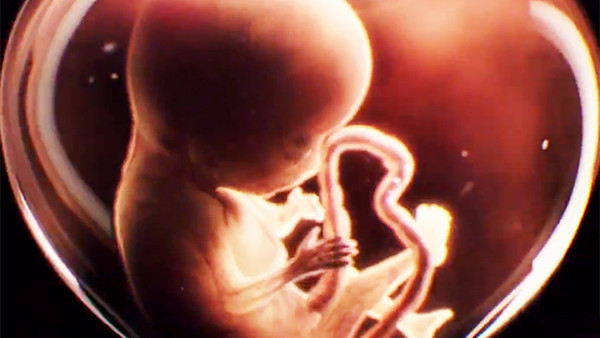 Everything We Know About American Horror Story: Apocalypse
