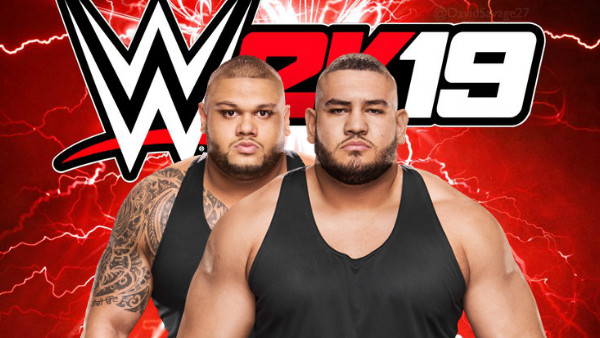 WWE 2K19 The Authors Of Pain