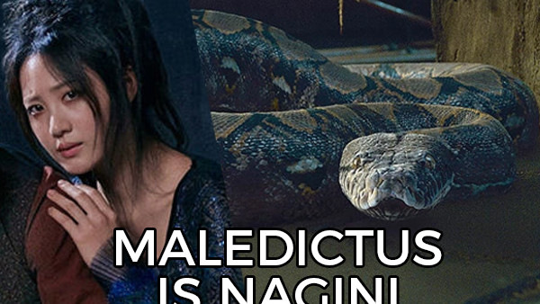 Fantastic Beasts The Crimes Of Grindelwald Maledictus Nagini