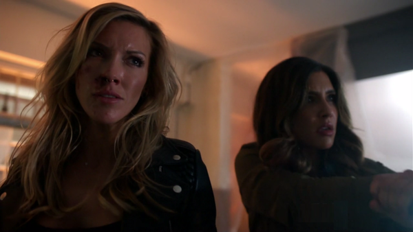 Arrow Laurel Dinah