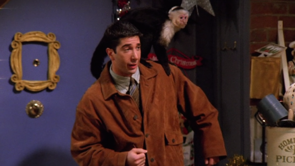 Friends Quiz How Well Do You Know Ross Geller Page 4