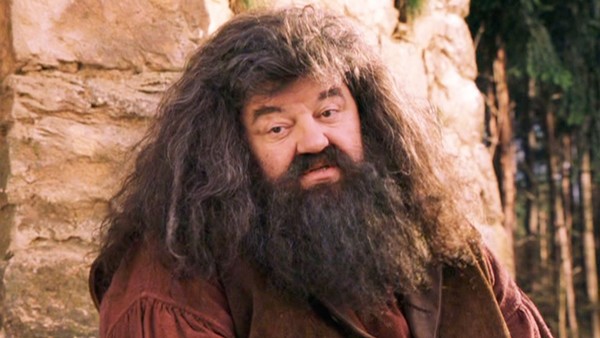 Hagrid Harry Potter