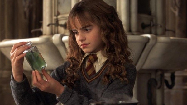 Harry Potter And The Chamber Of Secrets Polyjuice Hermione Emma Watson