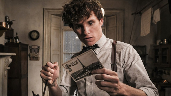 Fantastic Beasts The Crimes Of Grindelwald Newt