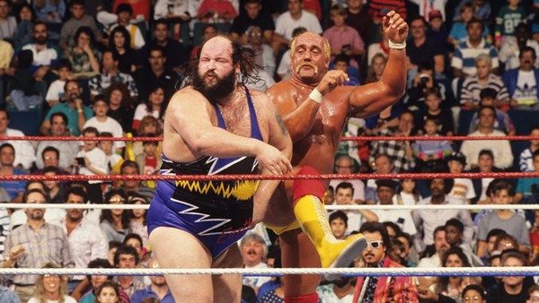 WWE SUMMERSLAM 1990