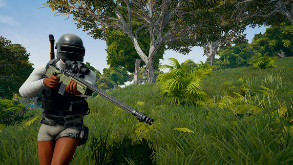 Is PUBG On PS4 The Definitive Console Version? (Review)