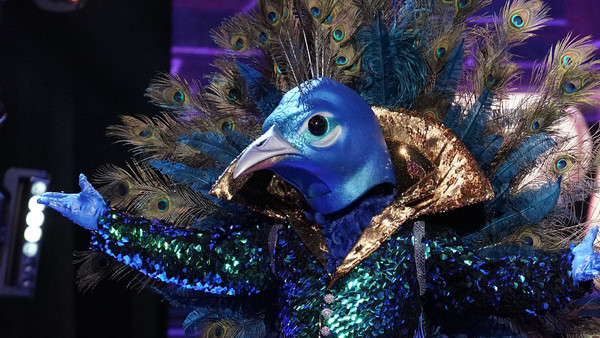 The Masked Singer Peacock