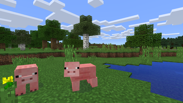 Minecraft Game Image