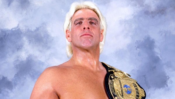 Ric Flair WWE Champion