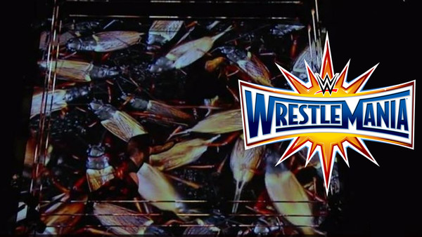 Wrestlemania 33 Cockroaches