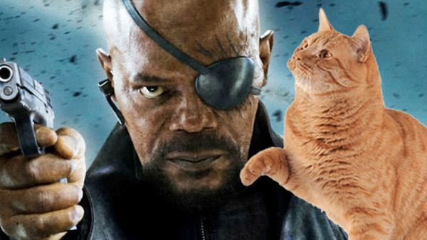 Nick Fury Cat