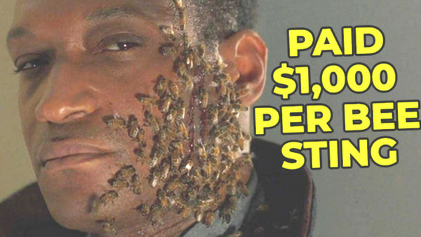 candyman bee stings