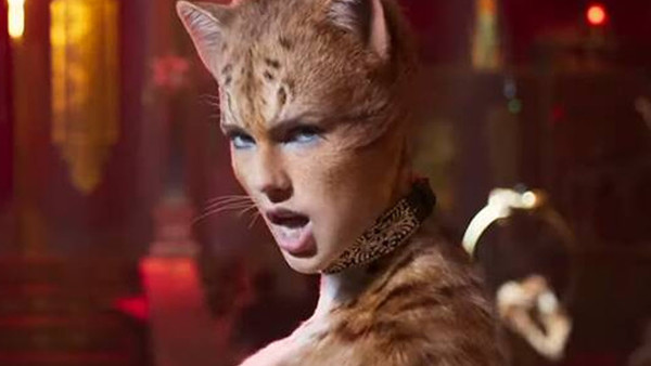 Taylor Swift Cats