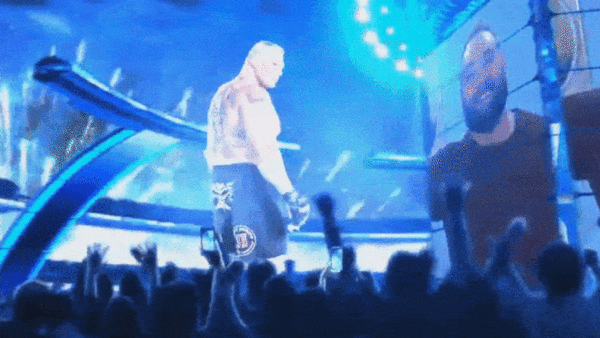 Bray Wyatt Brock Lesnar