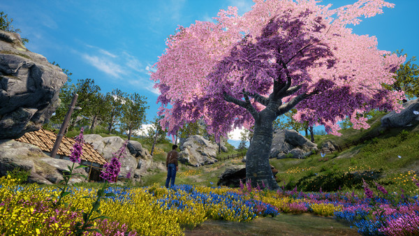 Shenmue III Shenmue Tree