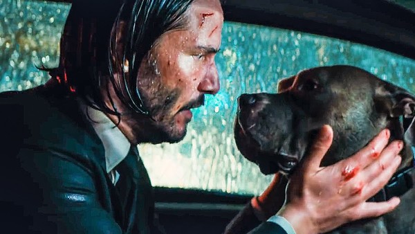 John Wick dog