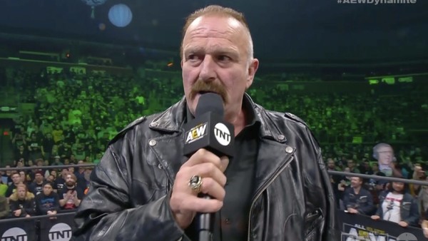 Jake The Snake Roberts