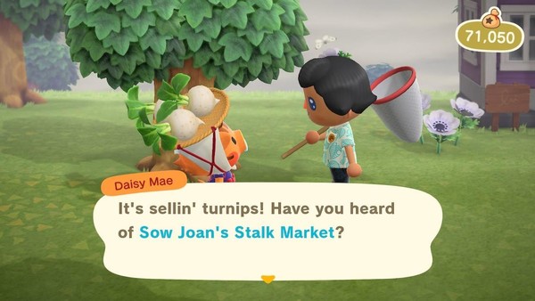 Animal Crossing Stalk Market