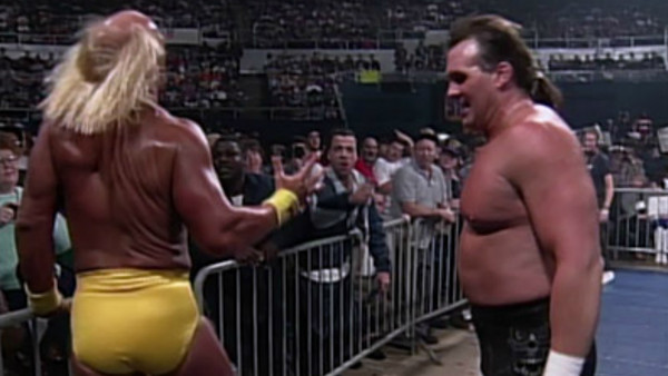 Hulk Hogan Brother Bruti Back Rake