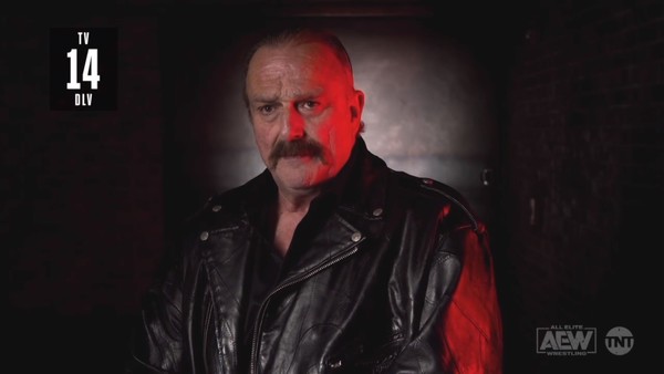 Jake The Snake Roberts