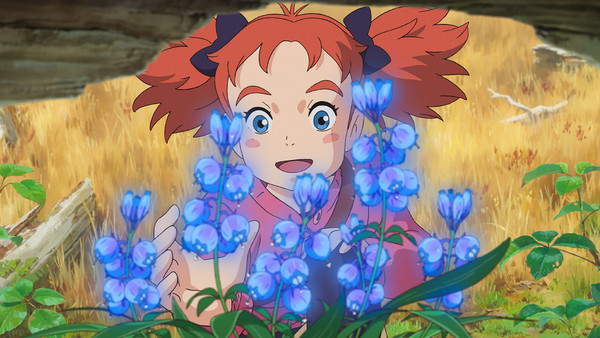 mary and the witch's flower