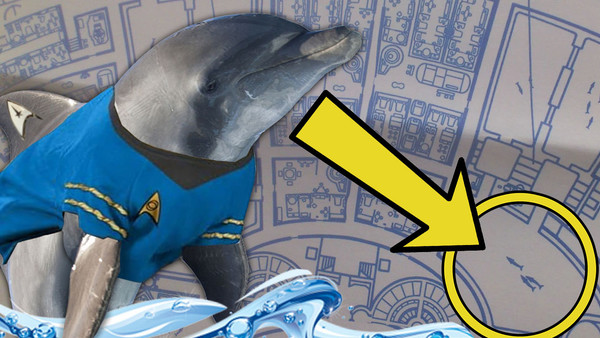 Star Trek Dolphin