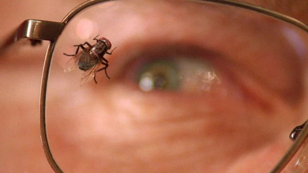 Breaking Bad The Fly