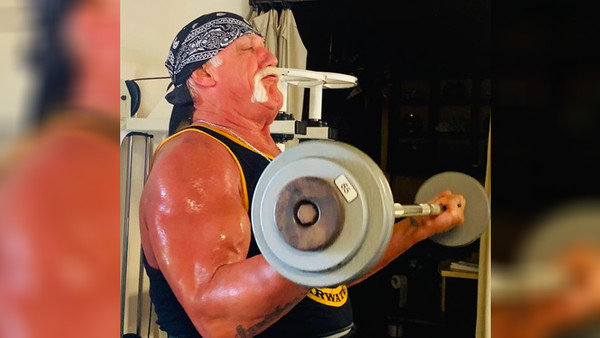 Hulk Hogan 2020