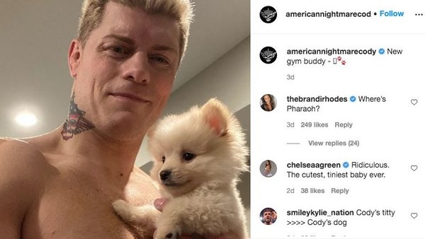 Cody Rhodes