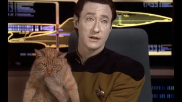 10 Best Star Trek Pets