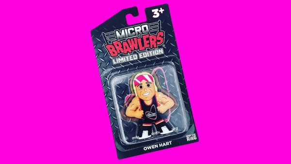 Owen Hart Action Figure