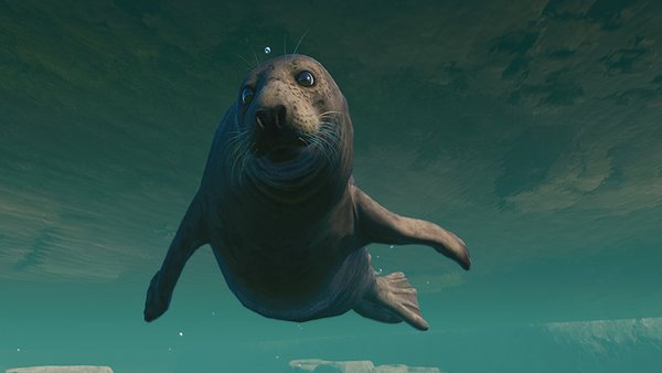 Planet Zoo: Aquatic Pack Review