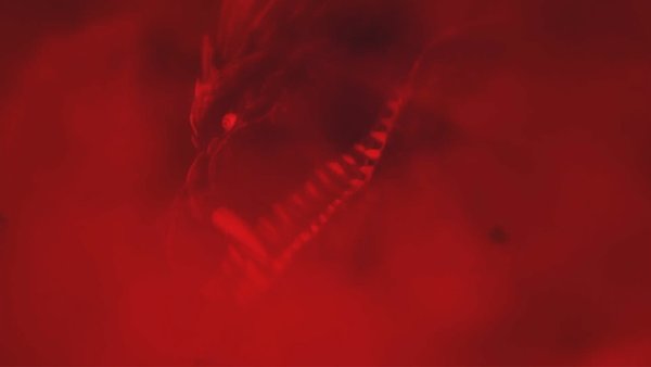 Godzilla Singular Point