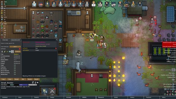 Rimworld game