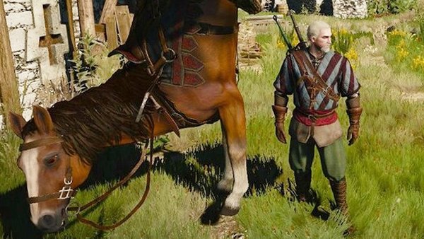 Witcher 3 roach