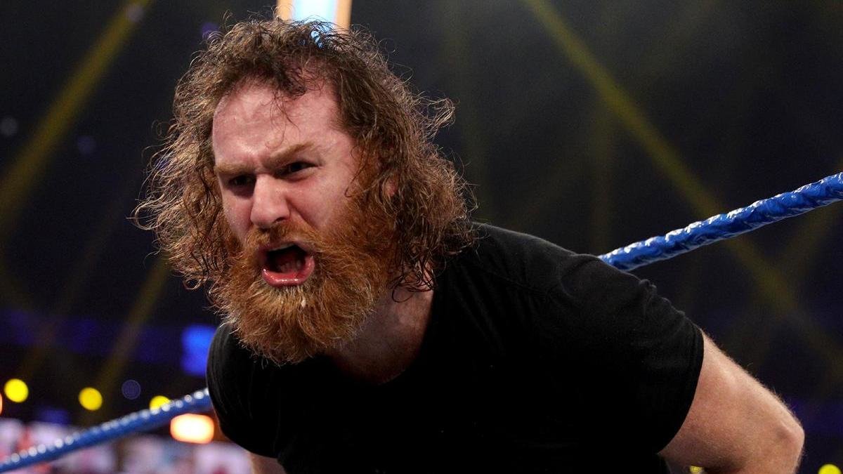 WWE's Sami Zayn Puts WAY More Thought Into His Hair Than You'd Think