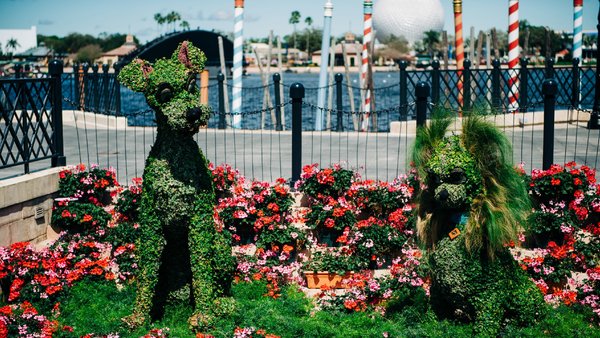 Walt Disney World Epcot Flower and Garden