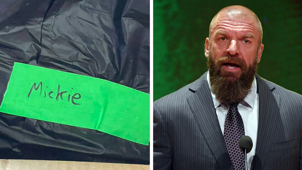 Triple H Mickie James Bin bag