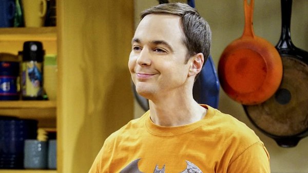 The Big Bang Theory Brooklyn Nine-Nine