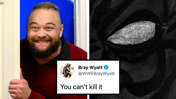Bray Wyatt new character