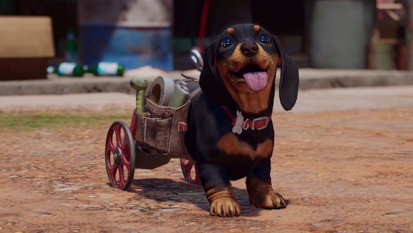 far cry 6 dog chorizo