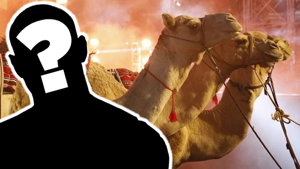 Randy Orton camels