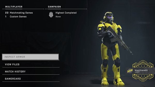 halo infinite armour