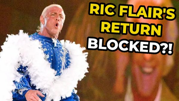Ric Flair blocked