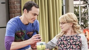 The Big Bang Theory Sheldon Bernadette