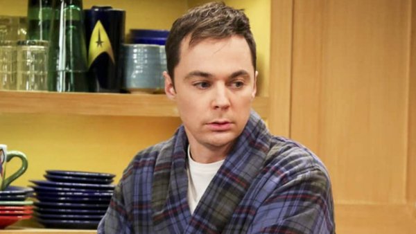 The Big Bang Theory: The Ultimate Elevator True Or False Quiz – Page 2